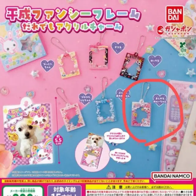 헤이세이 팬시 프레임 미니 앨범 가챠 키링