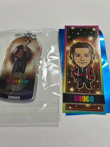 이와타니 쇼고 EXILE 가챠 1