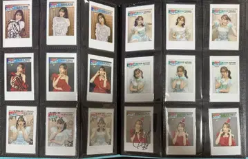 세리자와 유 쟝구루 파이터!!!! 전 회장 폴라로이드 풀컴프