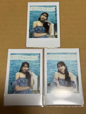 세리자와 유우 폴라로이드