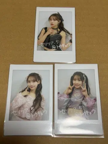 세리자와 유우 폴라로이드