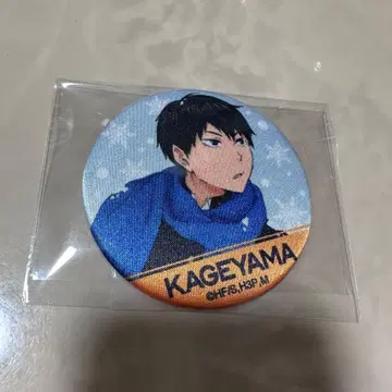 하이큐!! 실키 배지 컬렉션 카게야마 토비오