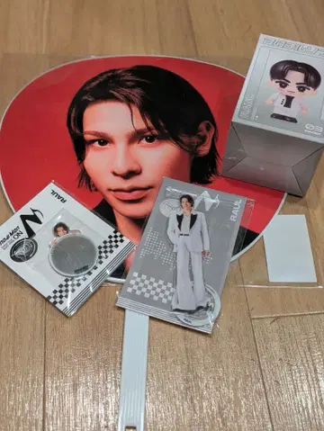 SnowMan Dome Tour 2025-2026 ON 라울