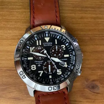 CITIZEN 시티즌 BL5250-02L