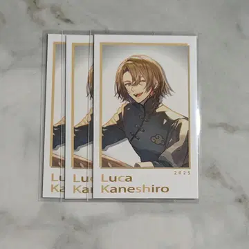 니지산지 SitR 상하이 공연 루카 카네시로 폴라로이드