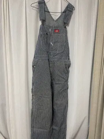 Dickies 스트라이프 오버롤