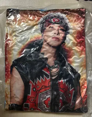 진 THE REASON 쿠션