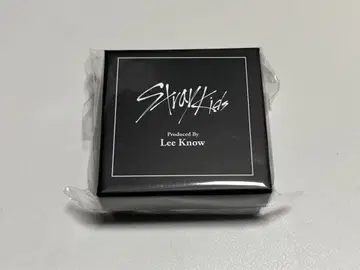 스키즈 dominATE 리노 멘프로 반지 세트