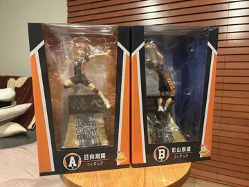 하이큐!! 히나타 쇼요 카게야마 토비오 피규어 세트