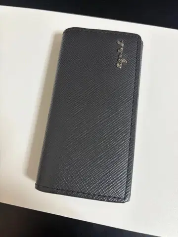 agnes b. 그레이 키케이스