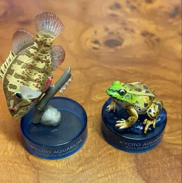 교토 수족관 피규어 세트 개구리와 물고기