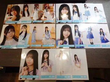 히나타자카 사카이 니이나 브로마이드 20종 컴프