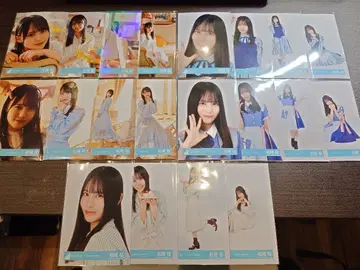 히나타자카 마츠오 사쿠라 브로마이드 20종 컴프