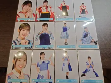 히나타자카 오타 미즈키 브로마이드 12종 컴프