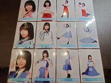 히나타자카 오노 마나미 브로마이드 12종 컴프