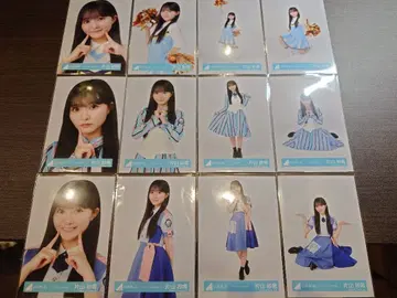 히나타자카 가타야마 사키 브로마이드 12종 컴프