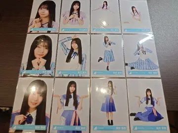 히나타자카 사카이 니이나 브로마이드 12종 컴프