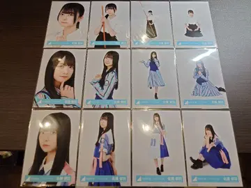 히나타자카 사토 유우 생사진 12종 컴프
