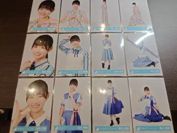 히나타자카 타카이 리카 브로마이드 12종 컴프