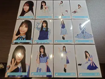 히나타자카 마츠오 사쿠라 브로마이드 12종 컴프