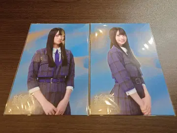 히나타자카 사토 유우 신참자 2025 랜덤 엽서 2종 컴프