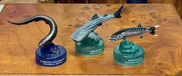 카이요도 아쿠아리움 징베이 상어 등 피규어 세트