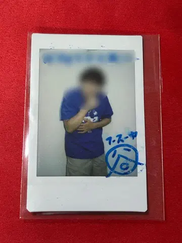 후스야 인사이드 후스야 폴라로이드