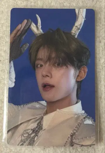 영준 트레이딩 카드