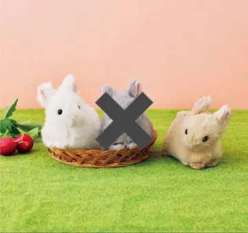 펠리시모 화이트 토끼 봉제 인형 파우치 네덜란드 드워프 복슬복슬