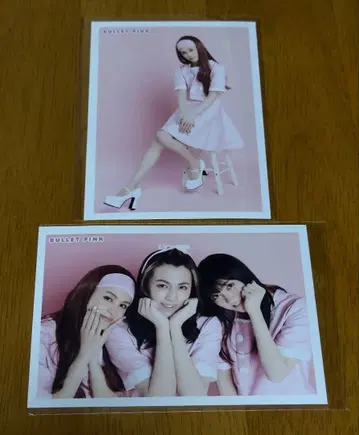 초특급 BULLET PINK 발레피 브로마이드 유키 타카시 타쿠야