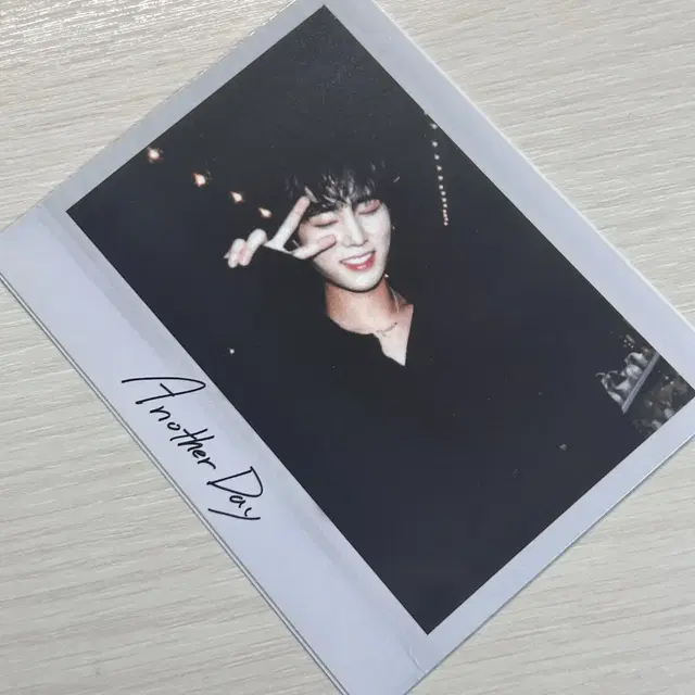 데이식스 영케이 선라이즈 포카 판매 | 데니멀즈 앨범 쁘띠멀즈 케 필끼