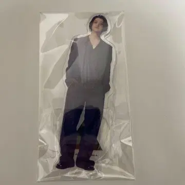 N/A 복권 아카니시 진 아크릴 스탠드 아크스타