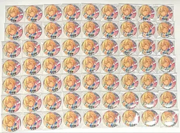 앙스타 텐쇼인 에이치 TRIP 캔뱃지 63개