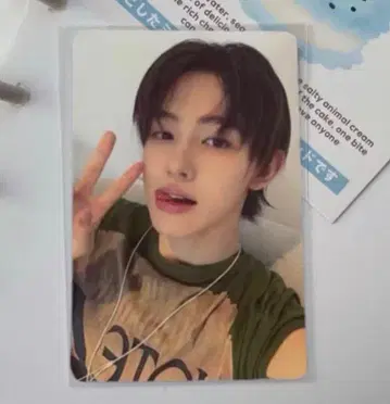 CORTIS 코르티스 유니버셜 혜택 트레이딩 카드 송현