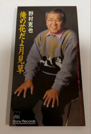 [ 레어 ] 노무라 카츠야 / 나의 꽃, 달맞이꽃