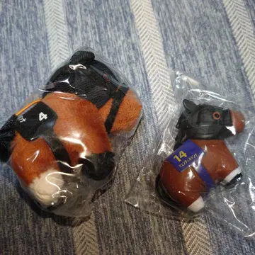 서러브레드 컬렉션 젠틸돈나 세트