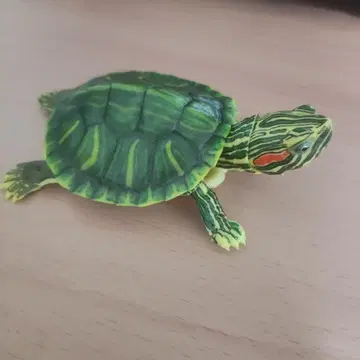 생물대도감 어드밴스 거북 01 미시시피붉은귀거북 라이트 컬러