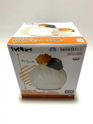 하이큐!! 스야스야 룸 라이트 히나타 쇼요