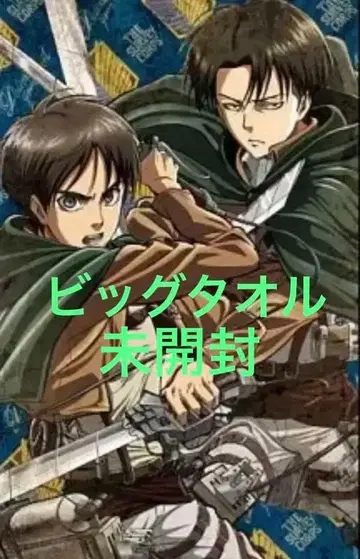 미개봉 빅 타월 진격의 거인 엘렌&리바이 타월 태피스트리