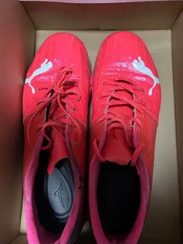 축구 스파이크 28.5 프로 지급품