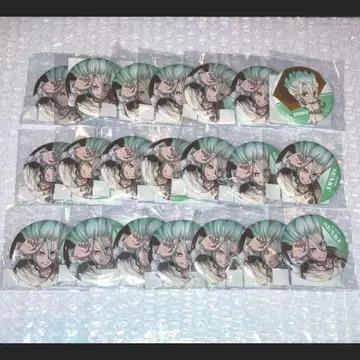 이시가미 센쿠 캔뱃지