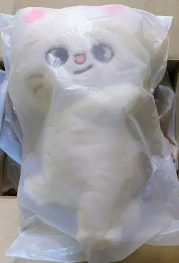 팝업 SKZOO PLUSH BAG Jiniret StrayKids