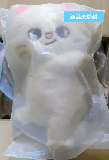 팝업 SKZOO PLUSH BAG Jiniret StrayKids