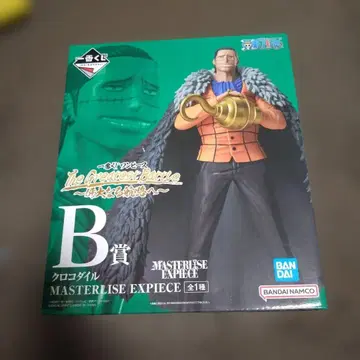 크로커다일 MASTERLISE EXPIECE B상