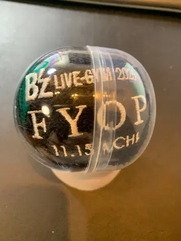 B'z LIVE-GYM 2025 FYOP 11.15 리스반