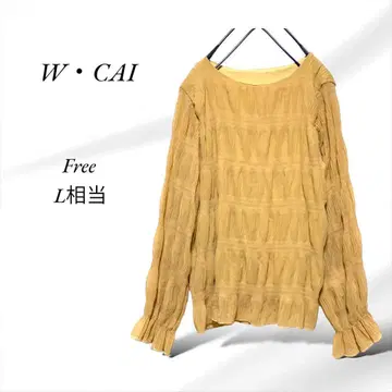 A369. WCAI/상의 [ F ] L 상당/연한 브라운/크레이프 직조