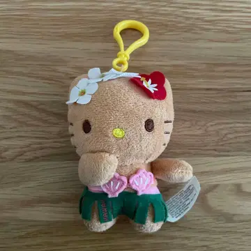 하와이 일광화상 키티