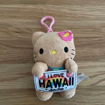 하와이 일광화상 키티