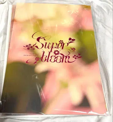 앙스타 스타포니 팜플렛