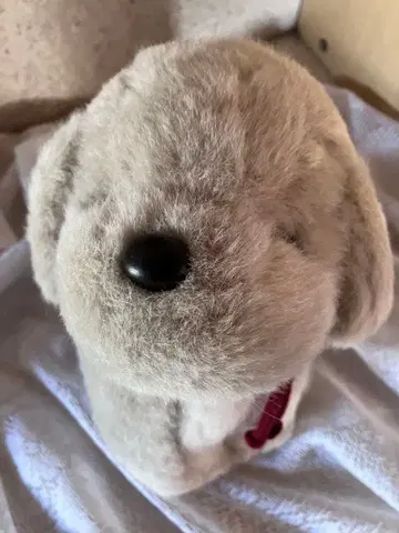 레어 우메키치 봉제 인형 레트로 오리엔탈 토이 엄청 귀여움